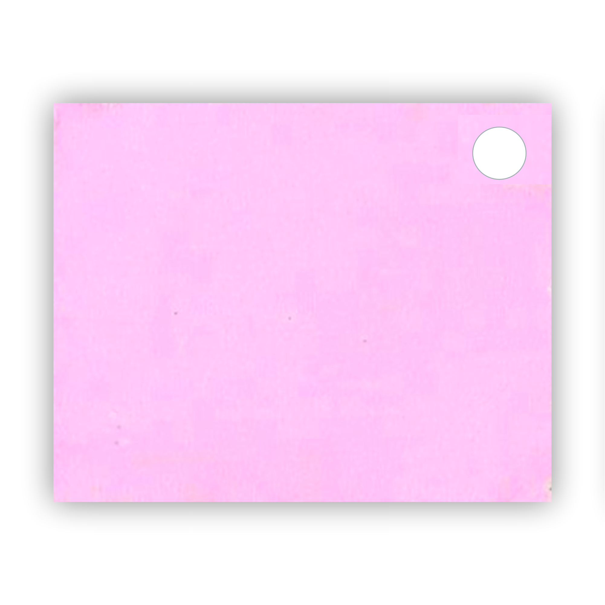 Placa MDF 2.7 mm, roz cu față dublă - imagine 2